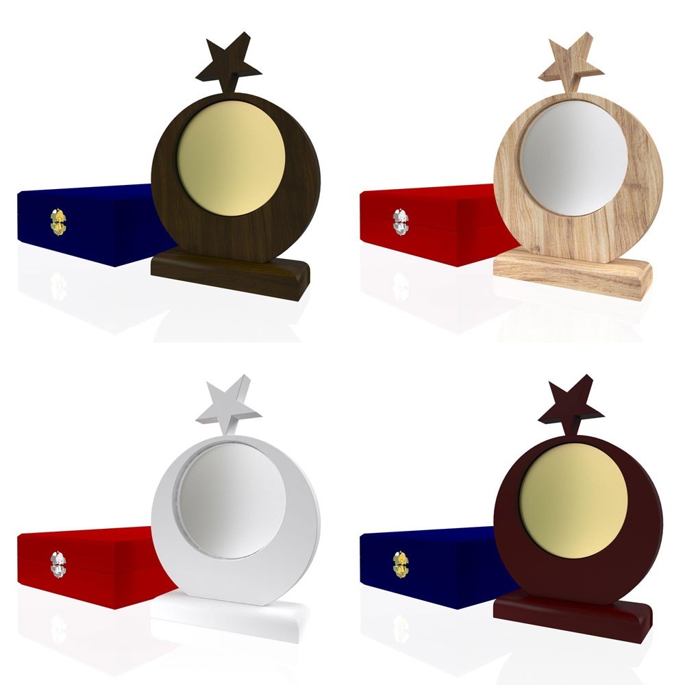 AP 128 جائزة خشبية